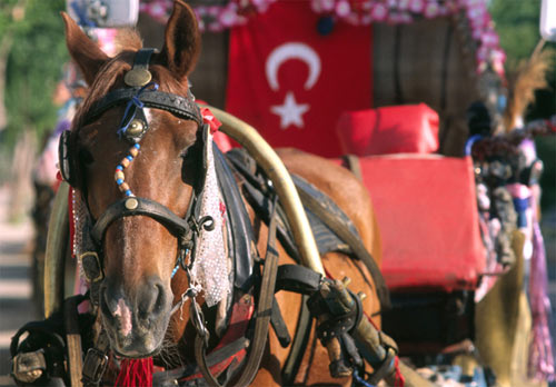 Tuerkei-Karaman-Pferdekutsc