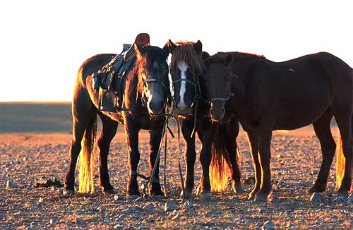 Mongolei005