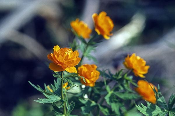 041