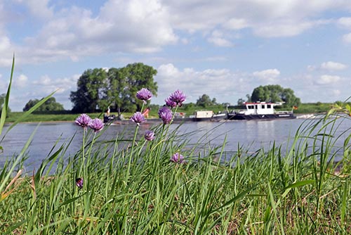 Paddeln-Saale-Elbe-2017-0003