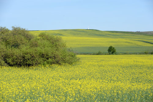 Seidenstrasse-0032