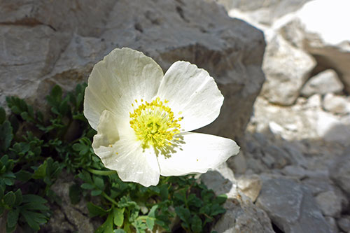 Zugspitze-0014