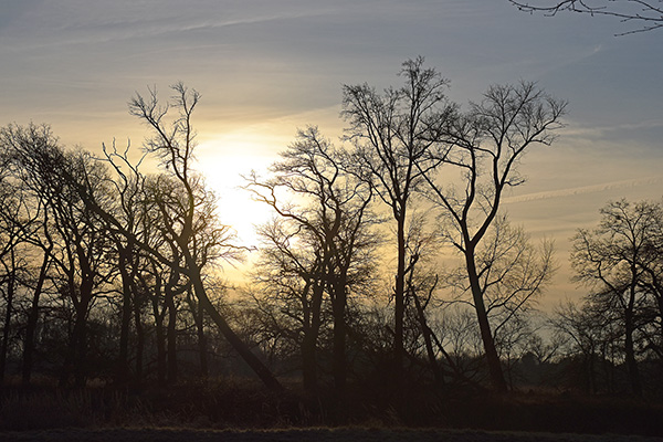 Friedenslicht-2025-WEB-011