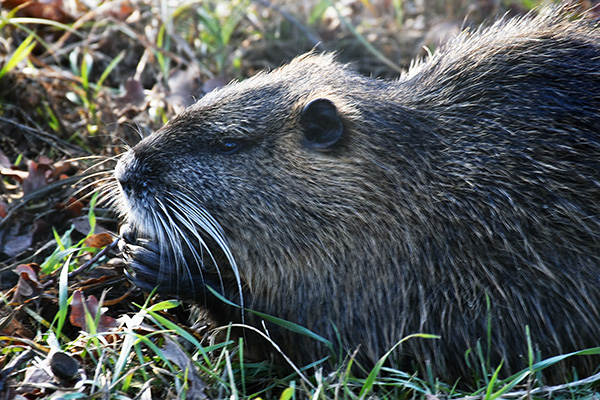 Friedenslicht-2025-WEB-017