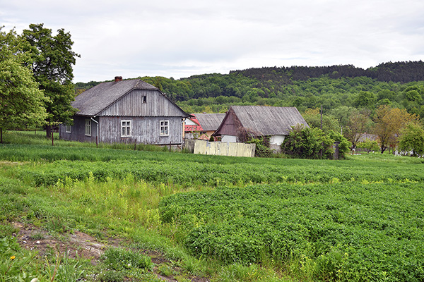 Ukraine-2025-0048