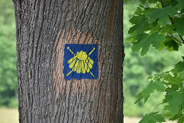 Ukraine-2025-0074